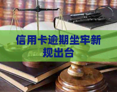 信用卡逾期坐牢新规出台