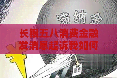 长银五八消费金融发消息起诉我如何处理