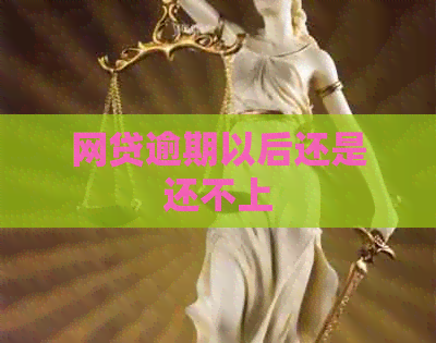 网贷逾期以后还是还不上