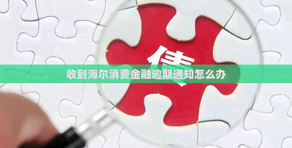 收到海尔消费金融逾期通知怎么办