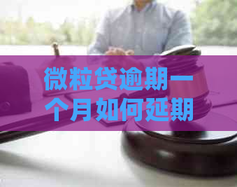 微粒贷逾期一个月如何延期