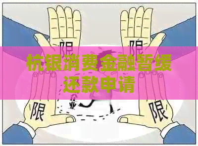 杭银消费金融暂缓还款申请
