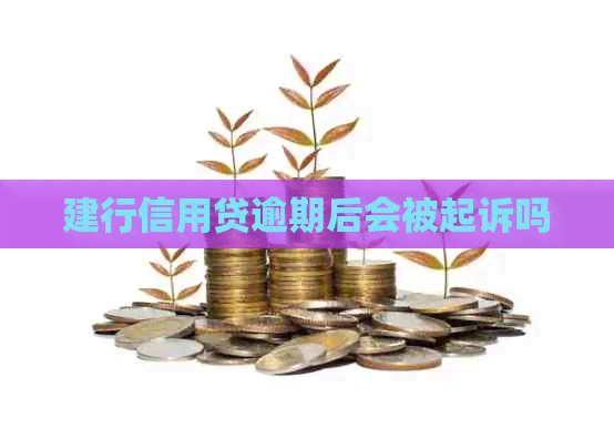 建行信用贷逾期后会被起诉吗