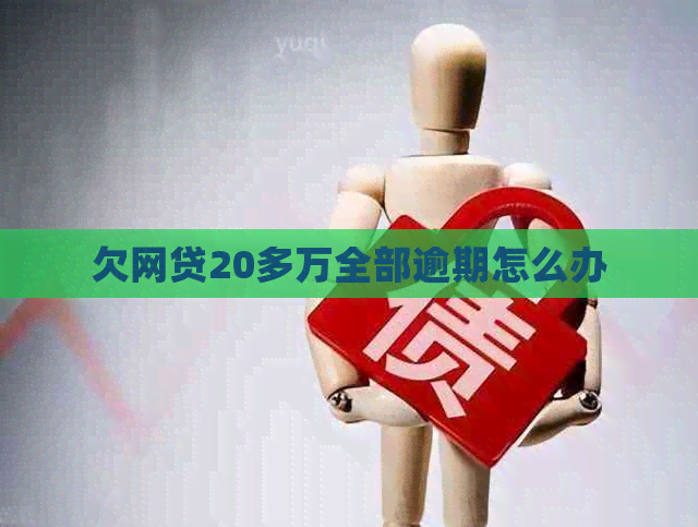 欠网贷20多万全部逾期怎么办