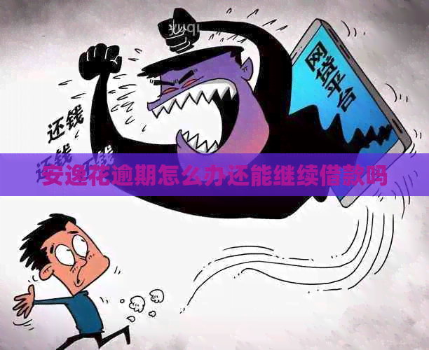 安逸花逾期怎么办还能继续借款吗