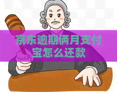 京东逾期俩月信用卡怎么还款