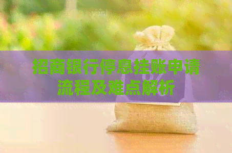招商银行停息挂账申请流程及难点解析