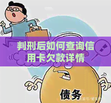 判刑后如何查询信用卡欠款详情