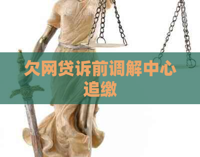 欠网贷诉前调解中心追缴