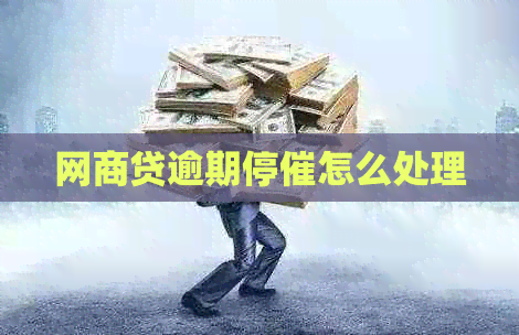 白条贷逾期停催怎么处理