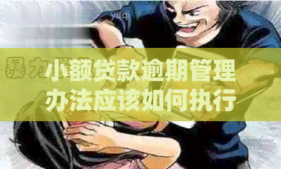小额贷款逾期管理办法应该如何执行