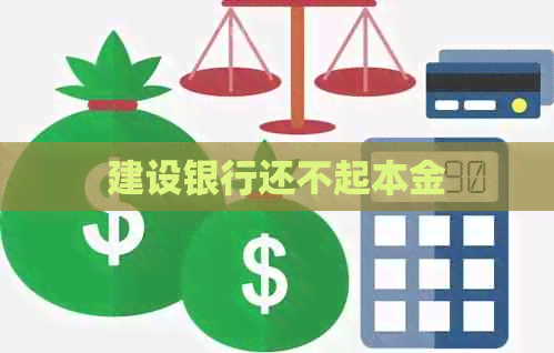 建设银行还不起本金