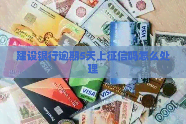 建设银行逾期5天上吗怎么处理