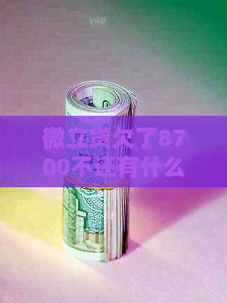 微立贷欠了8700不还有什么后果