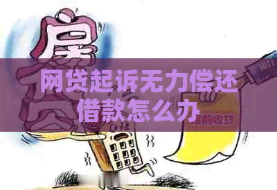 网贷起诉无力偿还借款怎么办