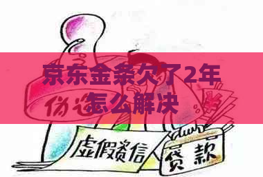 京东金条欠了2年怎么解决