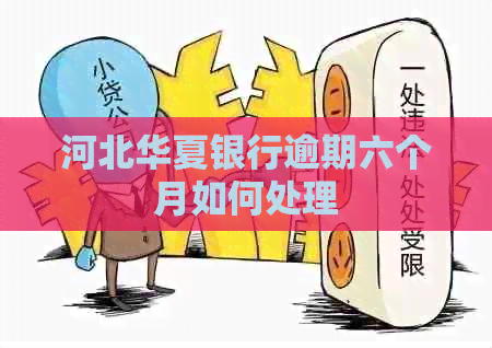 河北华夏银行逾期六个月如何处理