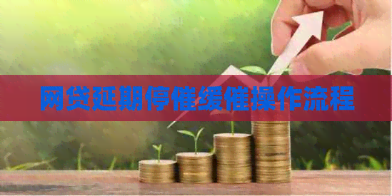 网贷延期停催缓催操作流程