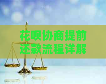白条协商提前还款流程详解