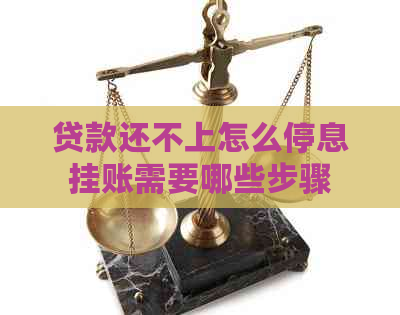 贷款还不上怎么停息挂账需要哪些步骤
