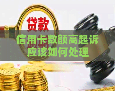 信用卡数额高起诉应该如何处理