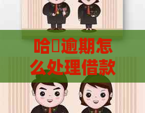 哈啰逾期怎么处理借款问题