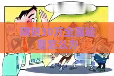 网贷30万全面逾期怎么办