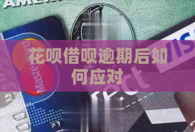 白条信用卡逾期后如何应对