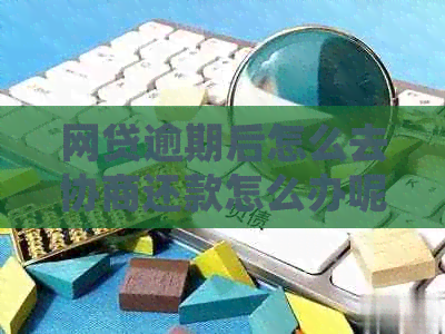 网贷逾期后怎么去协商还款怎么办呢