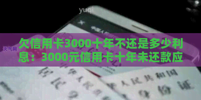 欠信用卡3000十年不还是多少利息：3000元信用卡十年未还款应还多少？