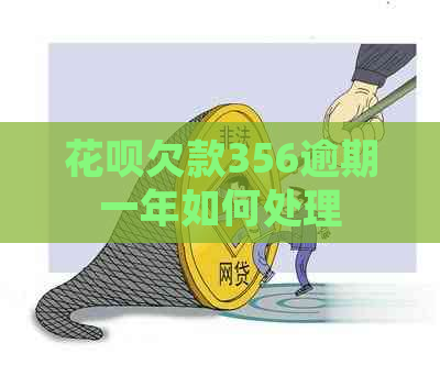 白条欠款356逾期一年如何处理