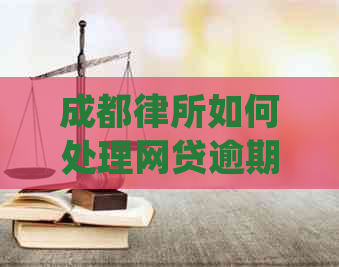 成都律所如何处理网贷逾期案件