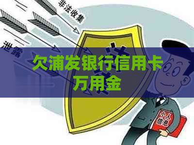 欠浦发银行信用卡万用金