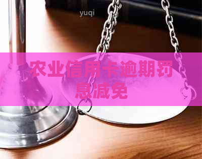 农业信用卡逾期罚息减免
