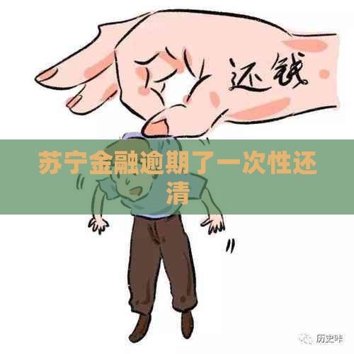 苏宁金融逾期了一次性还清