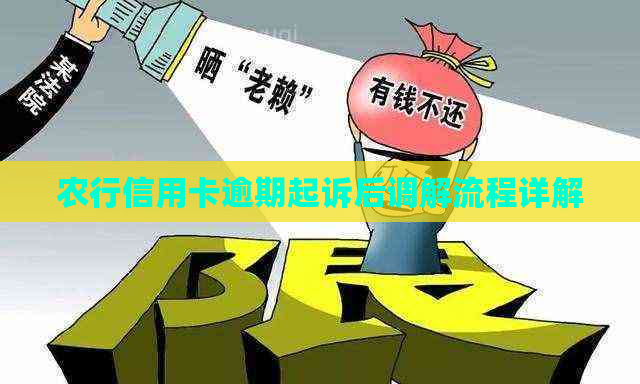 农行信用卡逾期起诉后调解流程详解