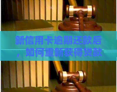 新信用卡逾期还款后，如何重新获得贷款资格？