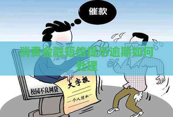 消费金融短信提示逾期如何处理