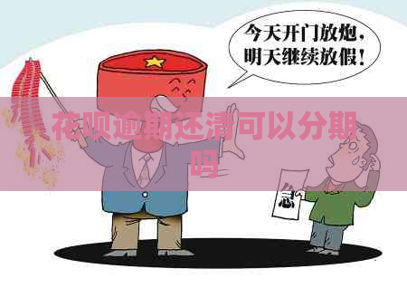 白条逾期还清可以分期吗