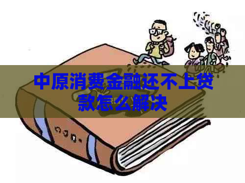 中原消费金融还不上贷款怎么解决