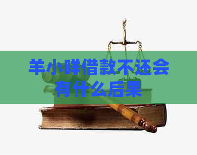 羊小咩借款不还会有什么后果