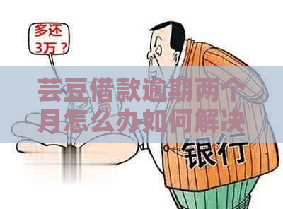 芸豆借款逾期两个月怎么办如何解决