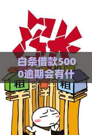 白条借款5000逾期会有什么后果