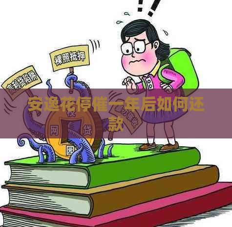 安逸花停催一年后如何还款