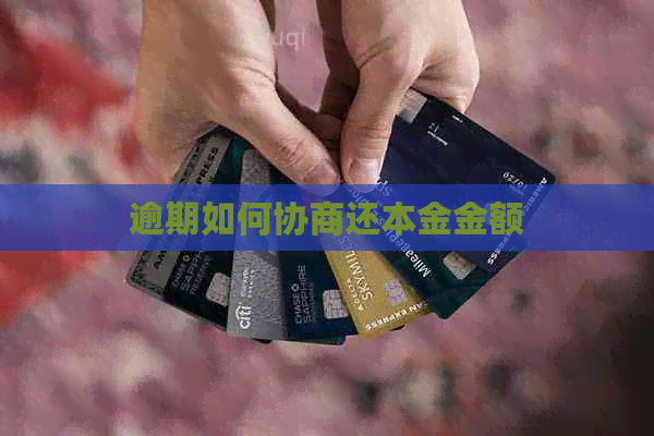 逾期如何协商还本金金额