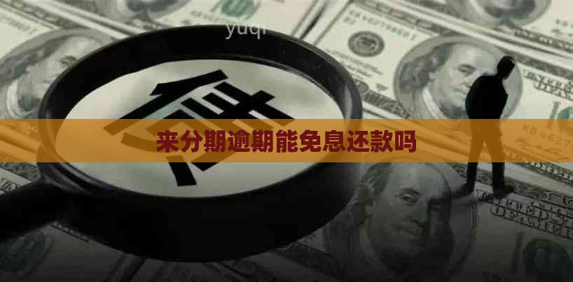 来分期逾期能免息还款吗
