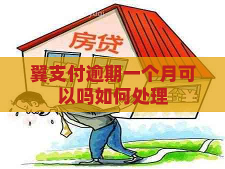 翼支付逾期一个月可以吗如何处理