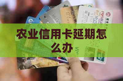 农业信用卡延期怎么办