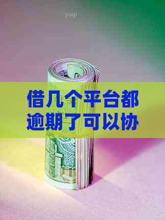 借几个平台都逾期了可以协商吗