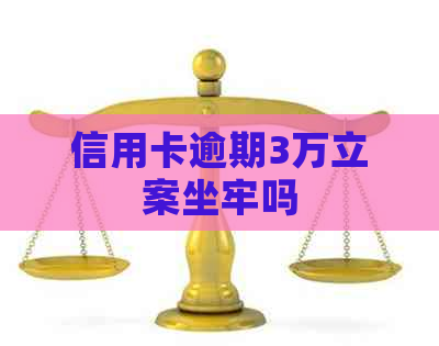 信用卡逾期3万立案坐牢吗